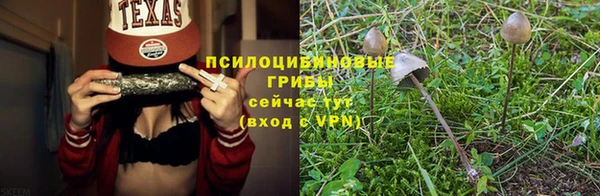 прущая мука Иннополис